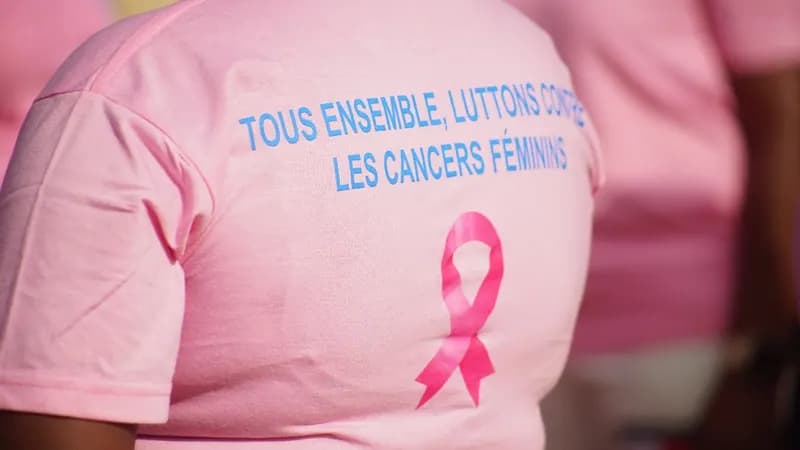 Back of a pink T-shirt with the slogan “Tous ensemble, luttons contre les cancers féminins” (Together, let’s fight women’s cancers) and a pink ribbon